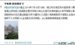 新闻实时爆料微博官网,官网最新资讯速递