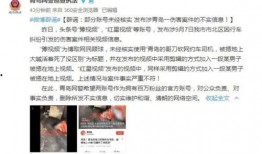 东原物业爆料事件视频曝光,真相背后引关注