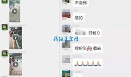 潮州网友爆料视频大全,一网打尽潮州街头巷尾新鲜事