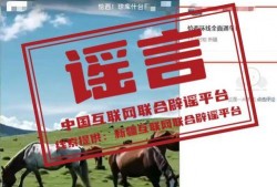 十一时事爆料新闻内容,热点事件盘点与深度解读