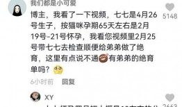 娱乐吃瓜君去向,探寻娱乐圈幕后真相