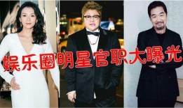 娱乐圈的大爆料是谁,揭秘幕后真相，明星隐私大曝光