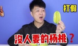 网红爆料张琦简介图片视频,张琦个人简介图片视频背后的故事