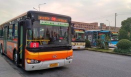 嘉兴最新公交爆料视频,揭秘最新爆料视频背后的公交改革与优化