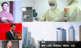 江西首富爆料视频播放,揭秘财富背后的故事