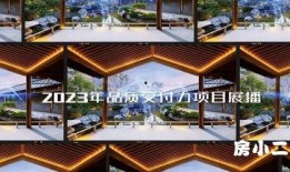 爆料房地产视频大全,视频大全深度解析
