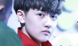 爆料娱乐圈焉栩嘉,揭秘明星背后的故事