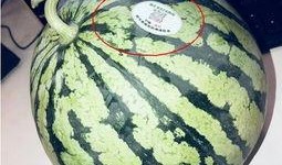 龙南网红吃瓜,揭秘网络舆论背后的真相