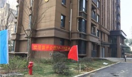 雍江山小区最新爆料,揭秘神秘项目背后的真相