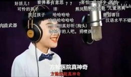 宏楠兄弟大爆料视频大全,揭秘视频大全背后的精彩瞬间