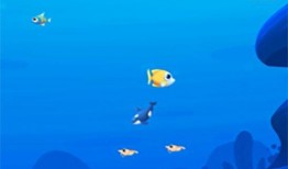 小鱼爱吃鱼爆料视频大全,热门爆料视频大盘点