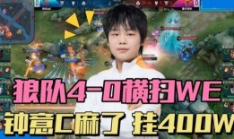 百兽瓶子爆料视频,动物界的神秘力量大公开