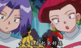 小五郎爆料娱乐,娱乐圈幕后真相大揭秘