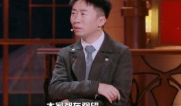 何炅汪涵爆料视频播放,视频播放背后的精彩瞬间
