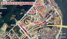 金沙洲爆料新闻事件最新,最新事件引发社会关注