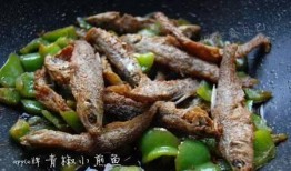 蚝油小鱼爆料视频教程大全