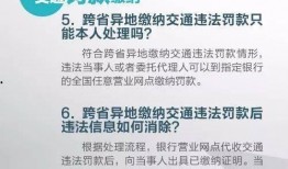 定州市头条爆料新闻网站,热点新闻速览