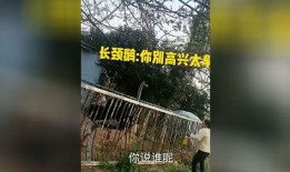 爆笑大哥爆料视频大全集,笑料百出，欢乐无限