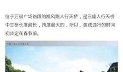 桂林大爆料新闻,揭秘桂林最新热点事件背后的真相
