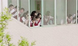 吃瓜之恋小说免费阅读,一场甜蜜的瓜田奇缘