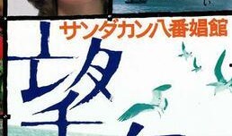 电影《望乡》在线观看,穿越时空的寻根之旅，探寻家族记忆的深刻启示