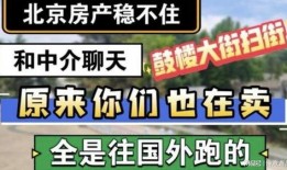 爆料房地产视频大全,视频大全深度解析