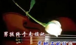 花心野玫瑰 在线观看,浪漫纠葛，情感漩涡中的爱欲挣扎