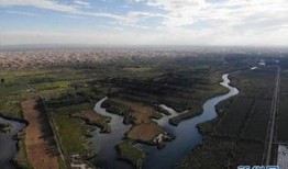 绿洲世界最新爆料