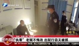 河南都市网爆料新闻,揭秘某重大事件背后真相