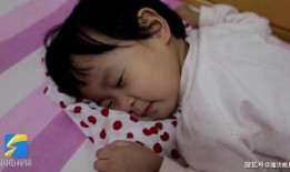 爆料山东女生视频播放,揭秘背后真相与争议