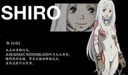 亡灵幻境在线观看,揭秘幽冥世界在线观看之旅