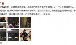 岳云鹏爆料出轨视频,真相与争议并存