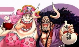 国风路飞爆料视频大全,揭秘动漫背后的精彩故事