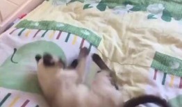 床小视频在线观看,私密空间里的情感共鸣