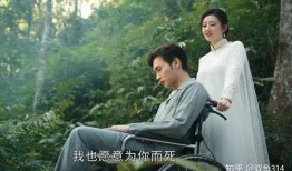 司藤电视剧在线观看,穿越时空的奇幻爱情，在线观看带你领略绝美传奇