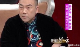 杨议妻子爆料完整视频,揭秘夫妻关系背后的真相