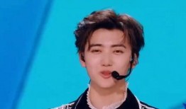 爆料娱乐圈焉栩嘉,揭秘明星背后的故事