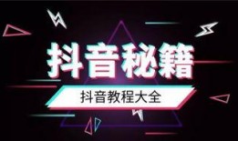 抖音账户娱乐精神爆料,娱乐精神爆料，带你领略短视频世界的欢乐瞬间