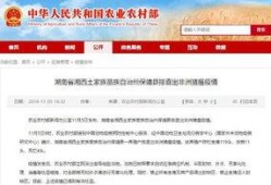 湖南有哪些新闻爆料,聚焦民生热点，揭示社会现象