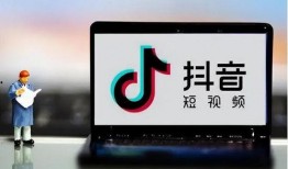 抖音账户娱乐精神爆料,娱乐精神爆料，带你领略短视频世界的欢乐瞬间