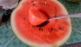 吃瓜网友全集免费观看,全网热议！揭秘“吃瓜网友全集免费观看”背后的真相