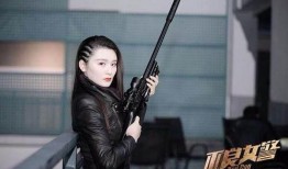 不良女察在线观看,揭秘神秘女警的卧底生涯