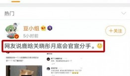 热搜爆料视频在线观看,热门事件幕后真相大曝光