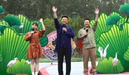 劳姆斯最近爆料视频大全,揭秘娱乐圈幕后真相