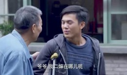 东北二婶视频在线观看,重温东北风情，感受民间魅力