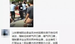 阳谷邻居爆料视频,邻里纠纷背后的真相