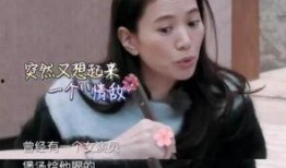 袁咏仪最新爆料,娱乐圈背后的惊人真相