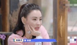 张柏芝爆料孙东海了吗视频,视频曝光惊人真相