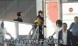 明星偷拍爆料视频,明星隐私泄露事件深度解析