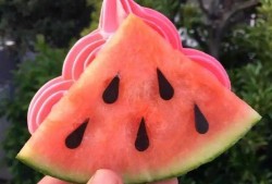 送相机给朋友的网红吃瓜,朋友吃瓜现场曝光！